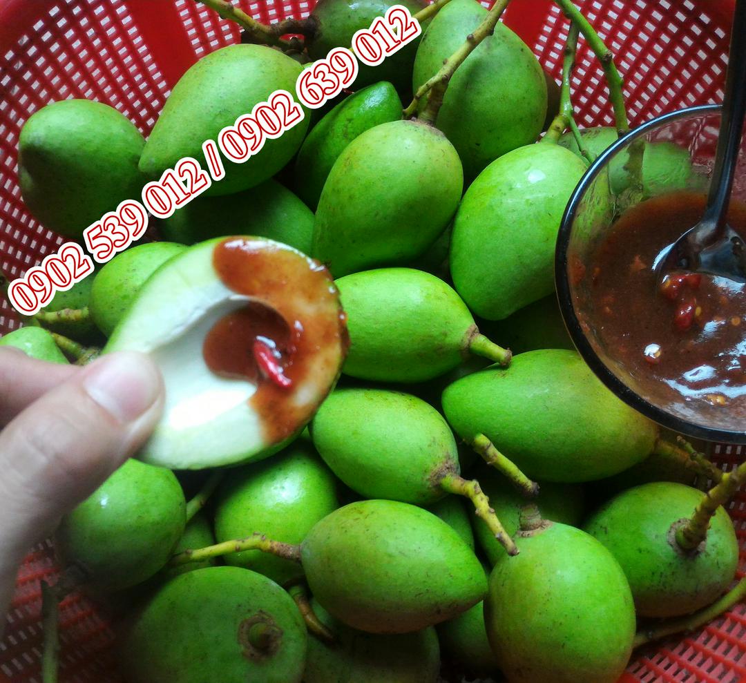 xoai-non-cat-chu-nguyen-trai-1kg