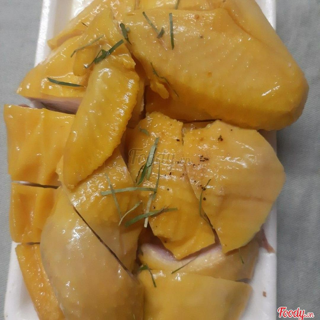 ga-u-muoi-hoa-tieu-nua-con-lanh