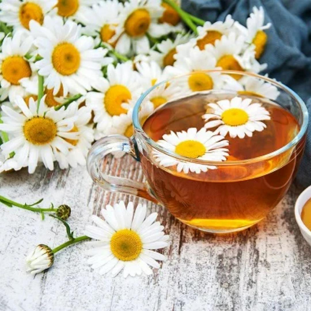 tra-hoa-cuc-mat-ong-nong