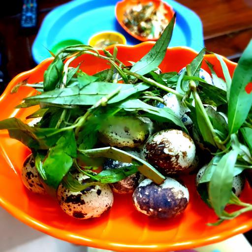 set-20-trung-cut-luoc