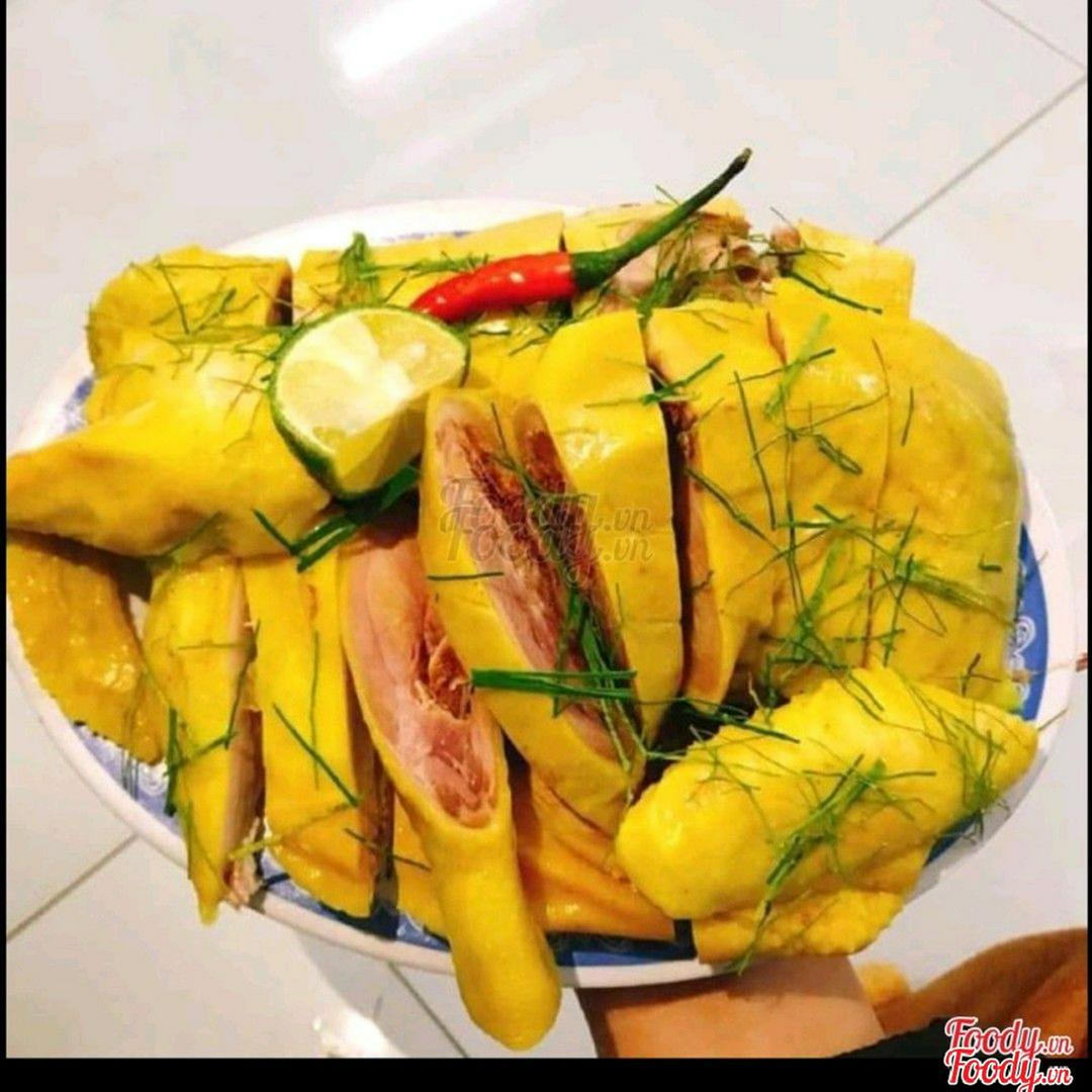 ga-u-muoi-hoa-tieu-nua-con-nong