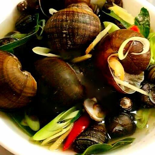 oc-lan-luoc-hap-sa-1-ia