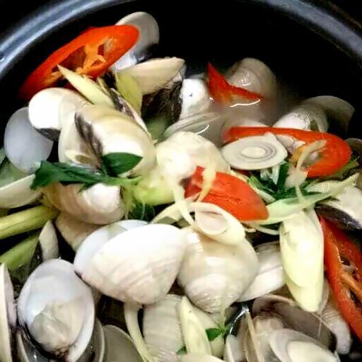 ngao-trang-hap-sa-dua-1-ia