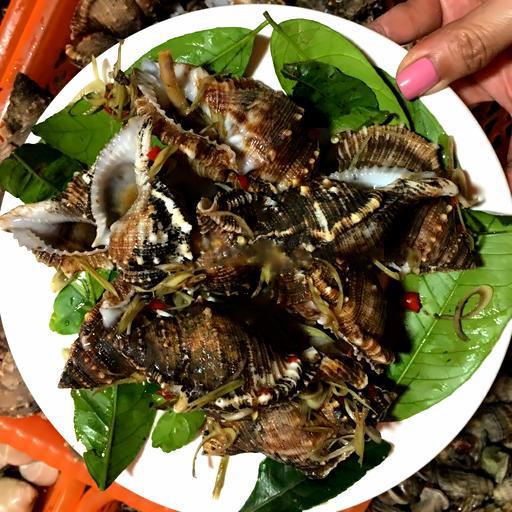 oc-su-tu-nuong-moi-1-ia