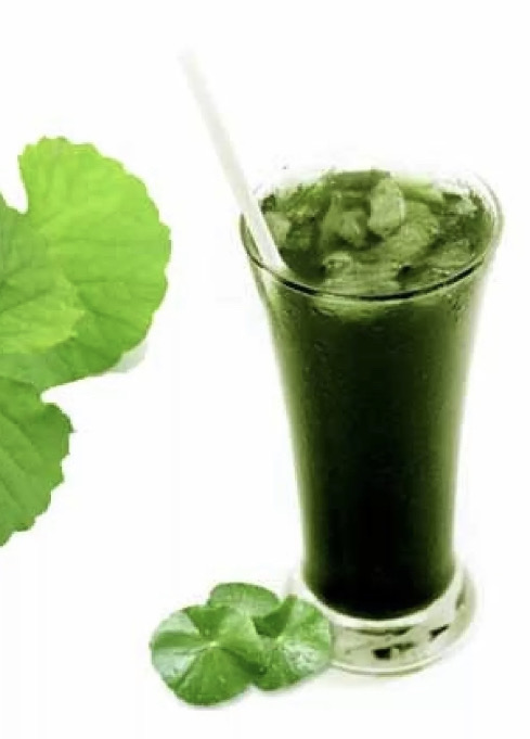 rau-ma-tuoi-nguyen-chat