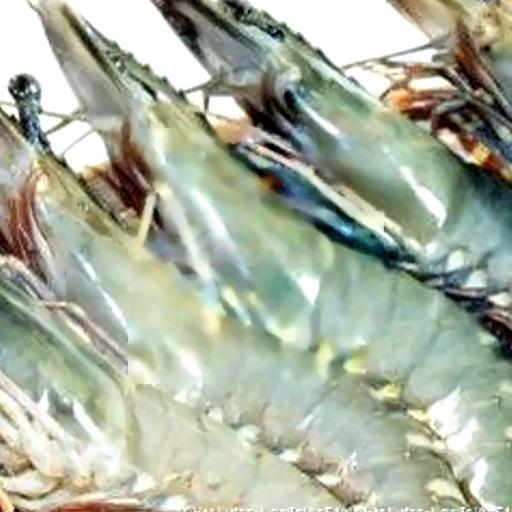 tom-uop-muoi-ot-chua-nuong