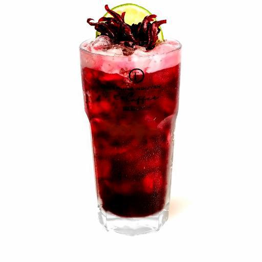 tra-atiso-o-hat-chia