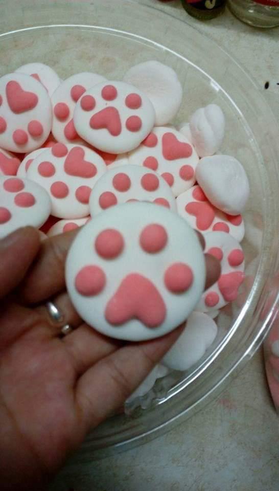 mashmarllow-chan-meo