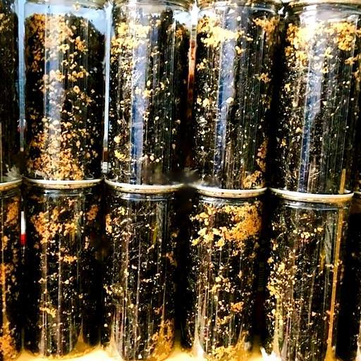 rong-bien-bien-chay-toi