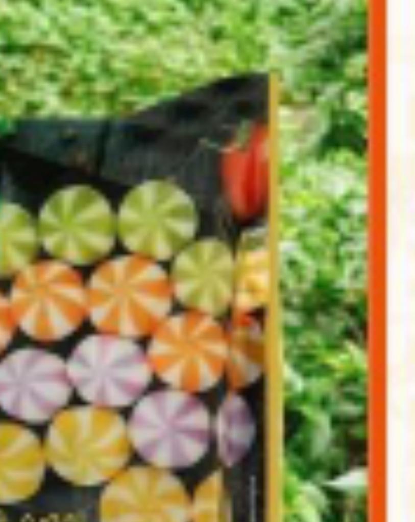 vien-tha-lau-ga-nuong-mat-ong