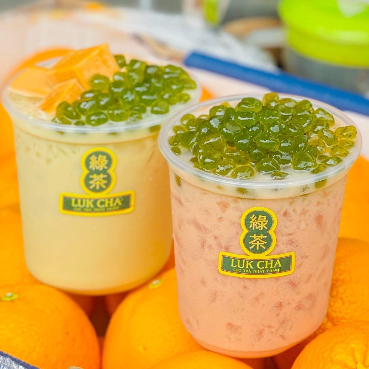 oolong-lai-sua-tran-chau-tra-pha-le