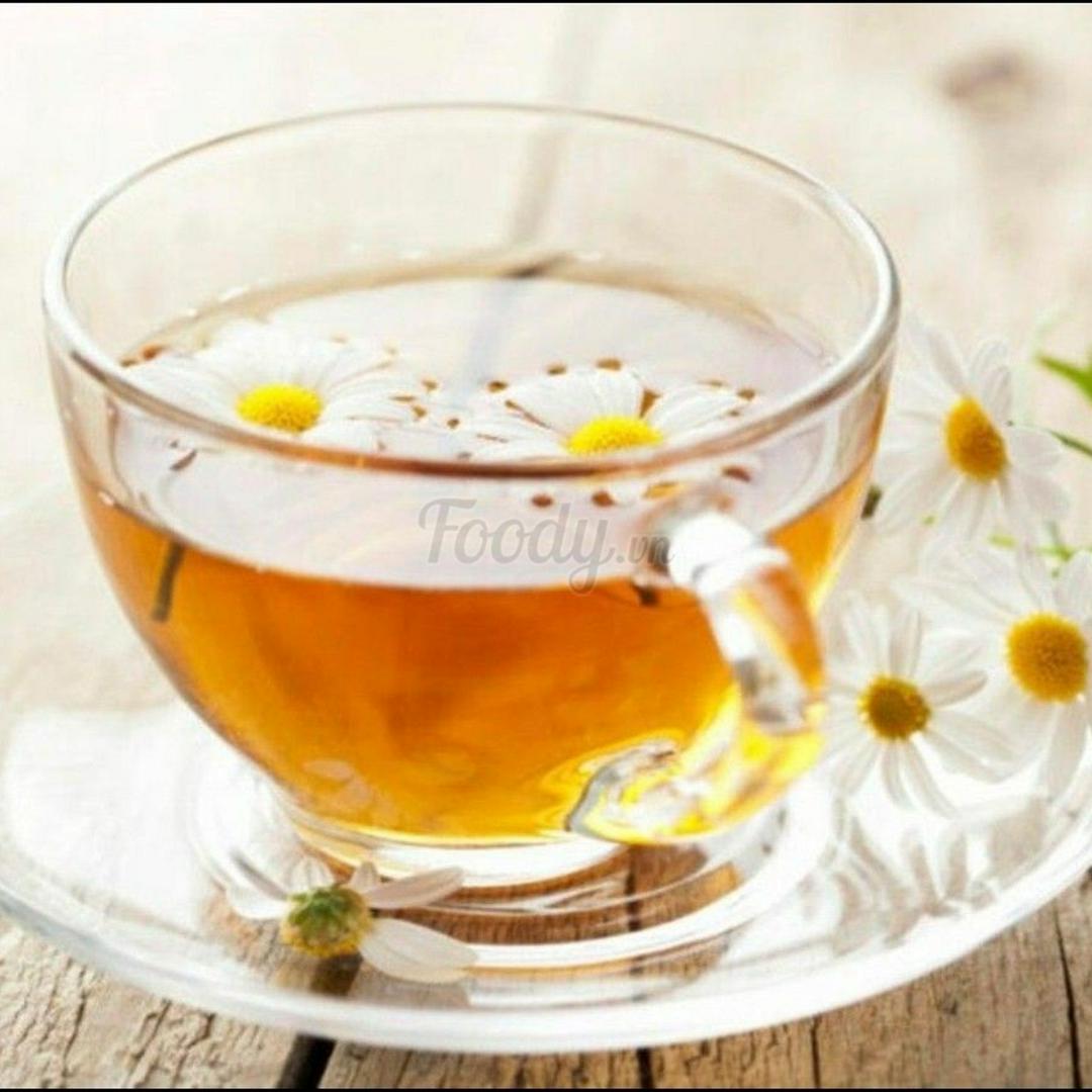 tra-bong-cuc-_giai-nhiet