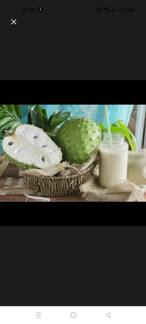 sinh-to-mang-cau-cam