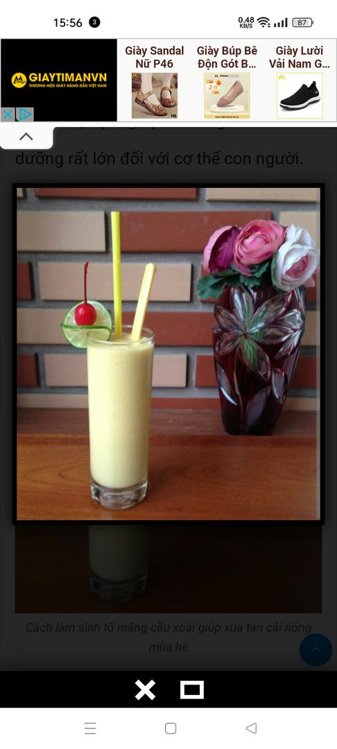 sinh-to-mang-cau-xoai