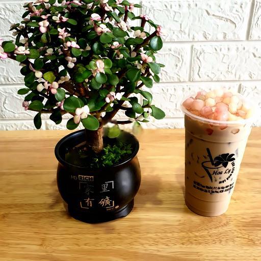 tra-sua-thach-nang-hat-luu