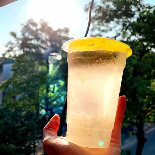 nuoc-dua-nha-am-hat-chia-dua-xiem-so