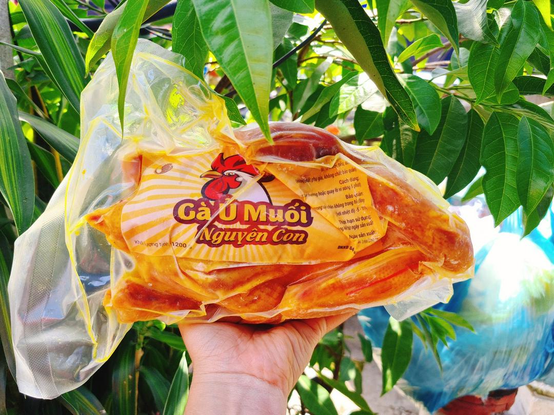 ga-u-muoi-nguyen-con-co-au