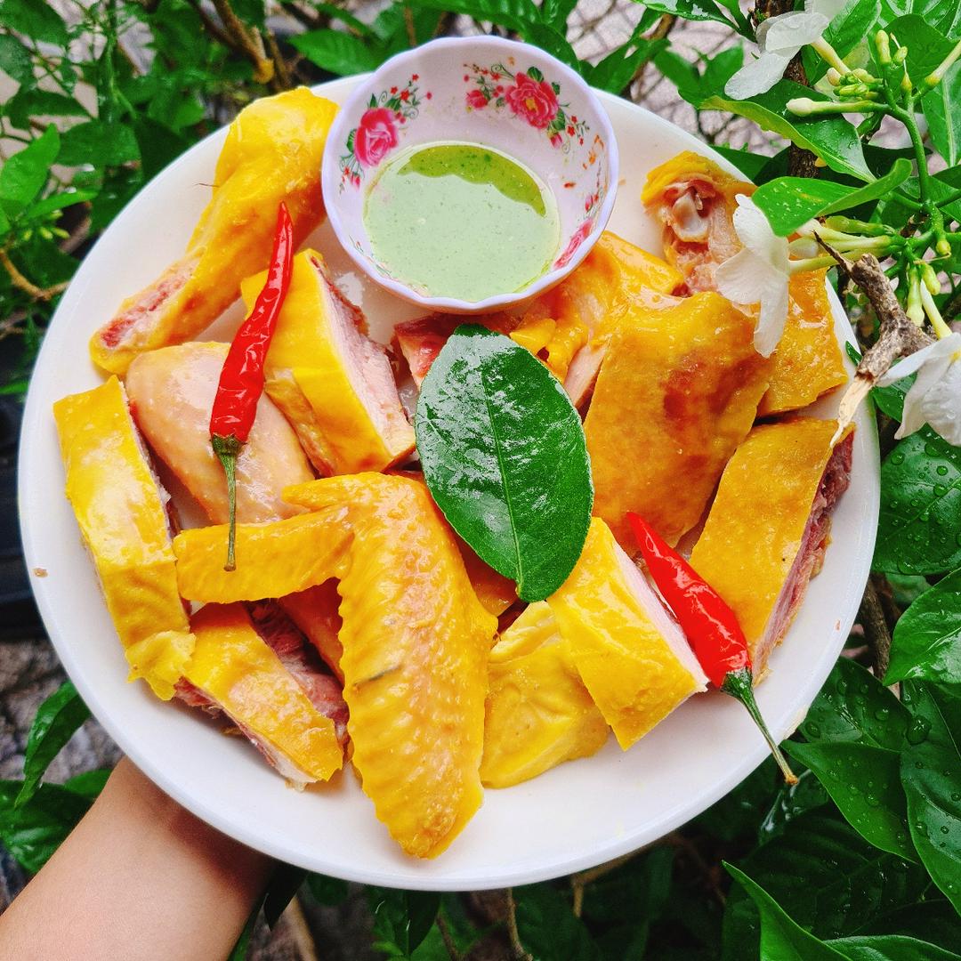 ga-u-muoi-1-2-con-chat-san