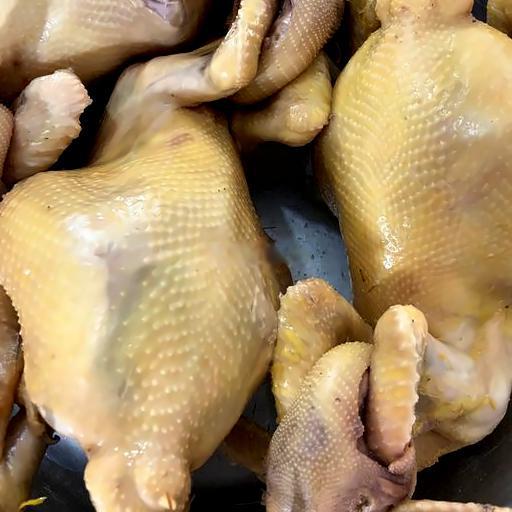 ga-cung-cheo-canh-tien