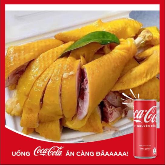 ga-u-muoi-xoi-nep-coca