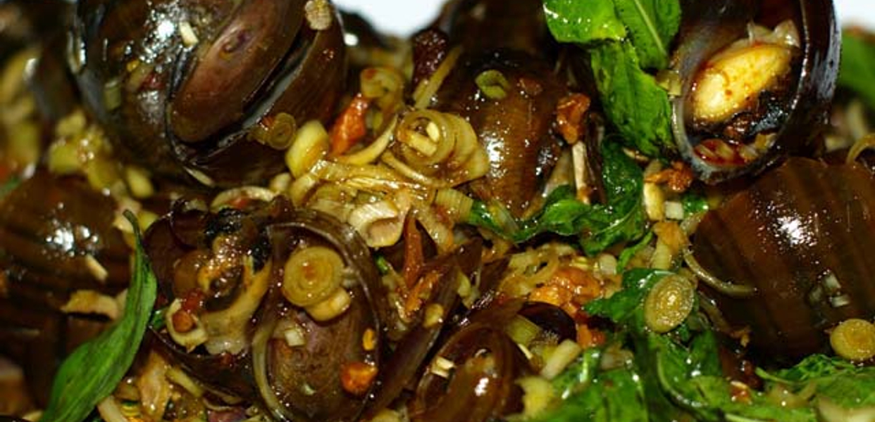 oc-ba-chieu-ly-thuong-kiet