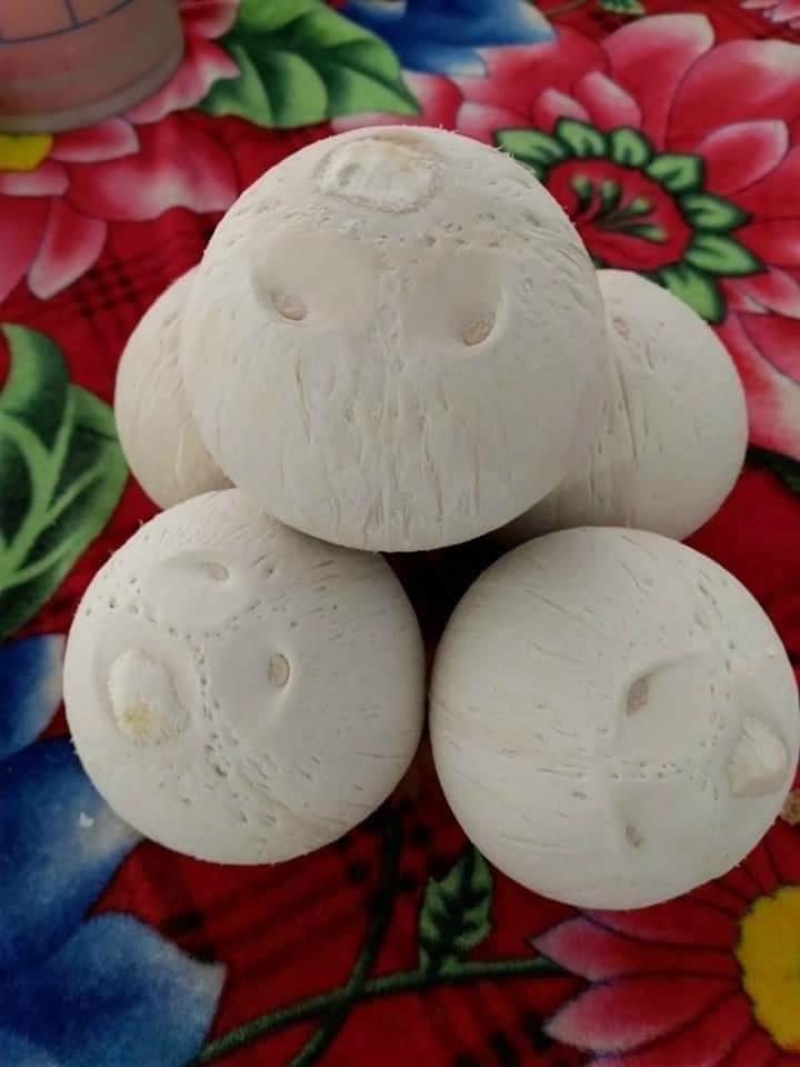 5-trai-dua-xiem-xanh-troc