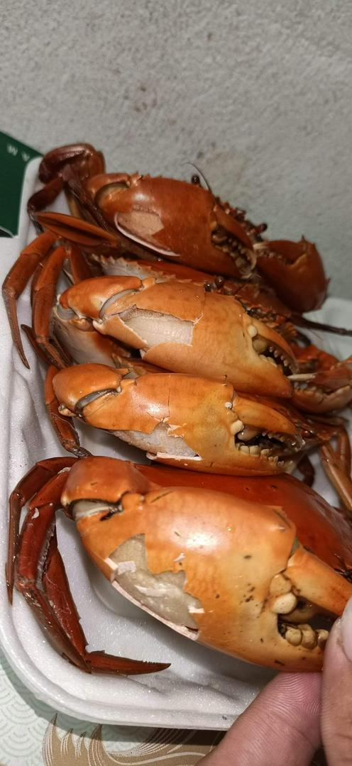 combo-4-cua-thit-vua-hap-xa-gung