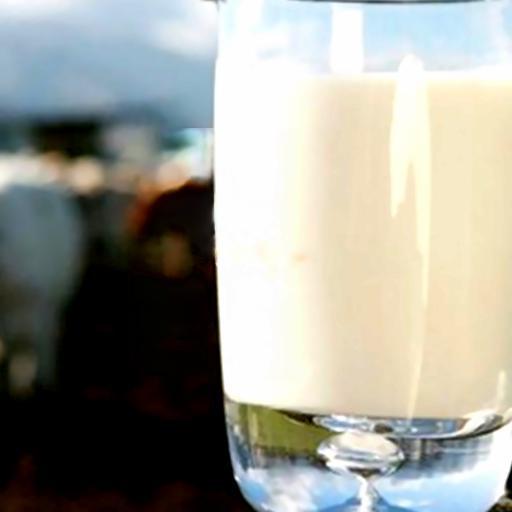 sua-bo-tuoi-nguyen-chat-100