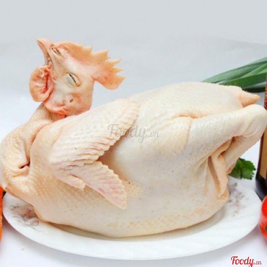 ga-ta-song-nguyen-con