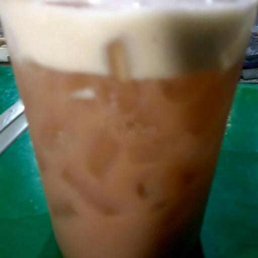 dau-so-ri
