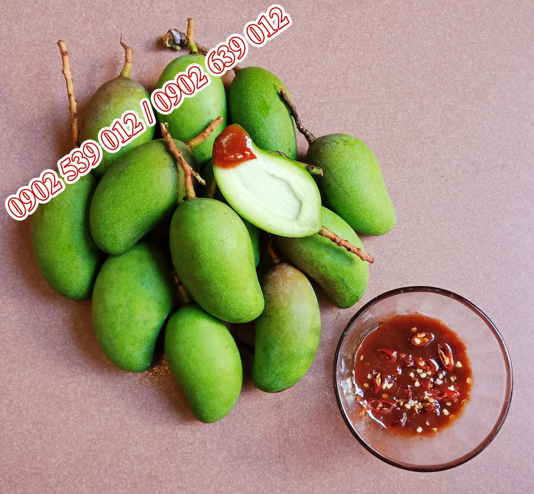 xoai-non-ghep-nguyen-trai-500gr