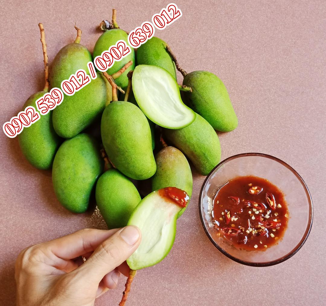 xoai-non-ghep-nguyen-trai-1kg