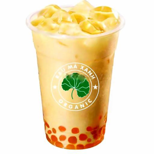 sua-tuoi-tran-chau-hoang-kim