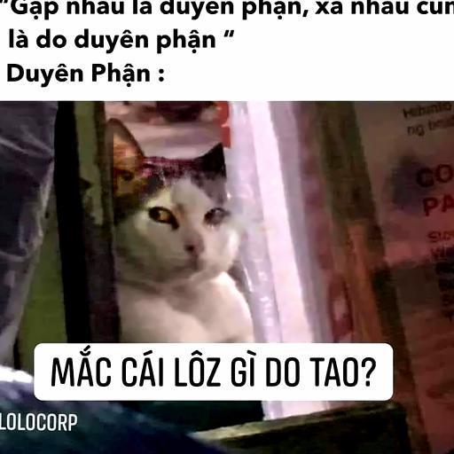 combo-e-kinh-nien-1-nguoi