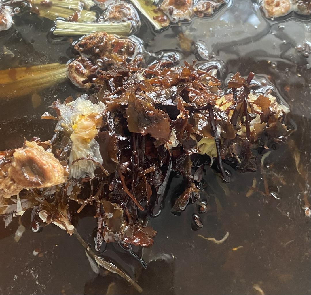 nuoc-rong-bien-thanh-loc-100-100-thien-nhien