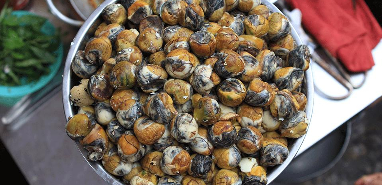 thu-hien-hot-vit-lon-le-hong-phong