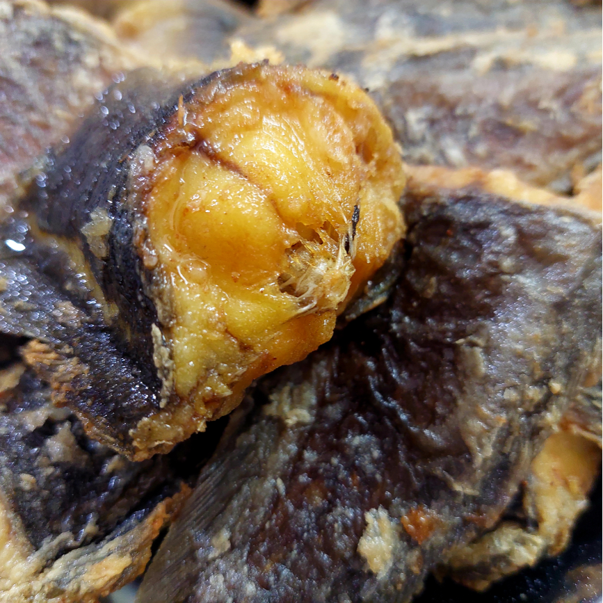 com-ca-tre-chien-gion