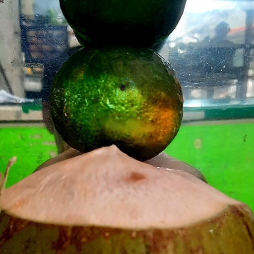 dua-cam-hat-chia