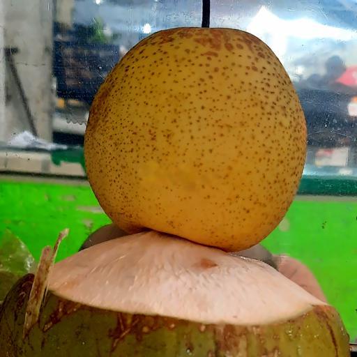 dua-le-hat-chia