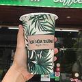 hong-sua-nhem-nhuoc-tran-chau-ho-phach