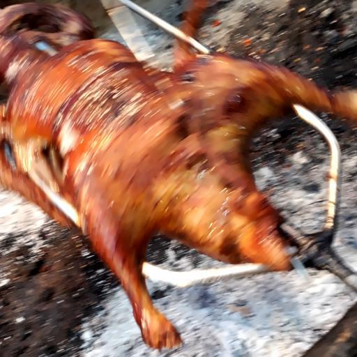 vit-nuong-la-moc-mat-vit-nho