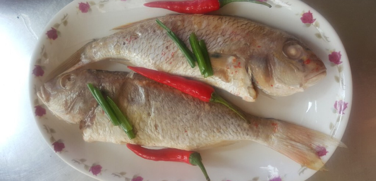 pha-lau-nganh-ky-hong-bang