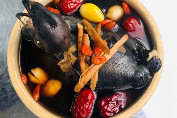 ga-ac-tiem-thuoc-bac