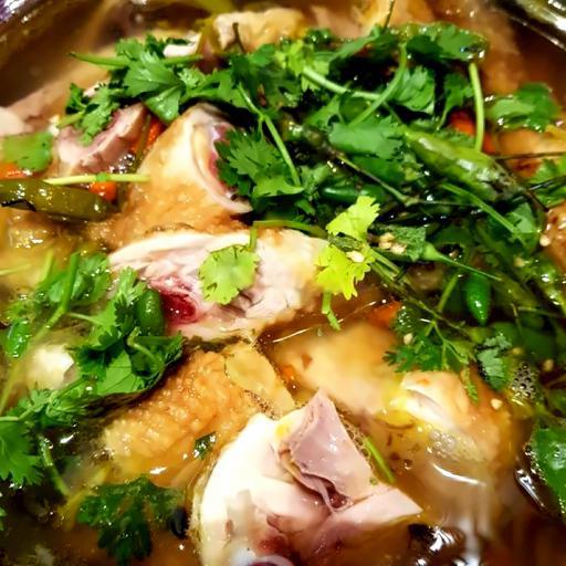 lau-ga-thuoc-bac-nho