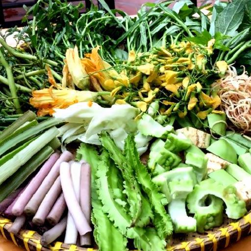 them-rau-nhung-lau-theo-mua