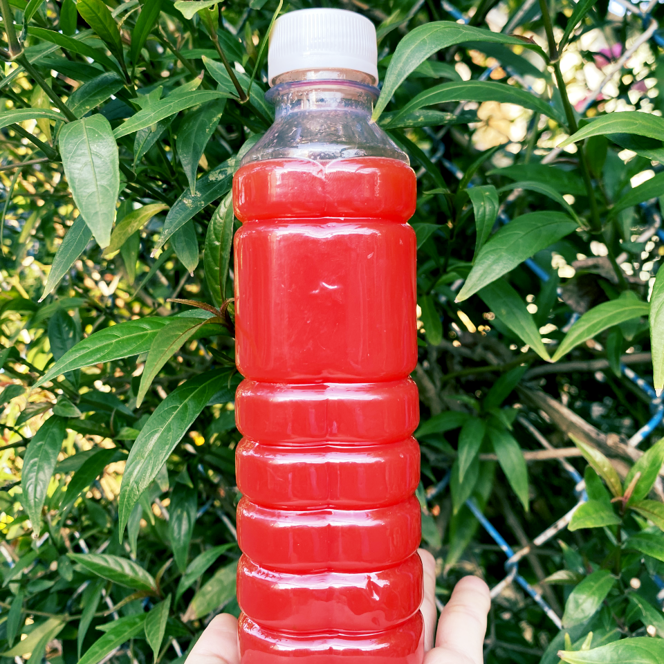 nuoc-ep-dua-hau-chai330ml