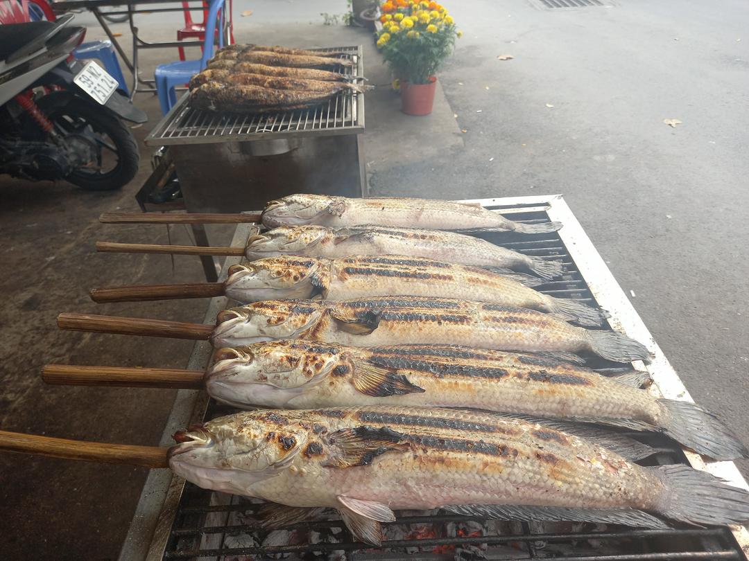 ca-loc-nuong-rau-rung-loai-lon