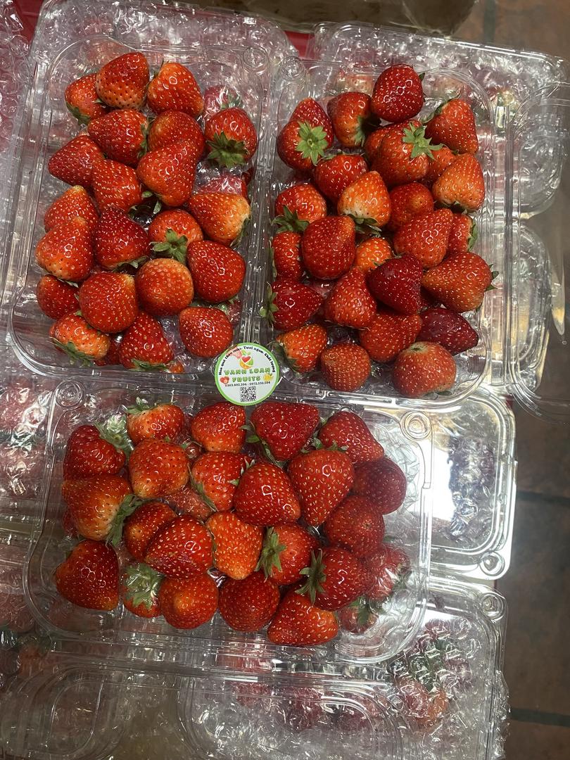 dau-tay-hana-moc-chau-size-bi-nho