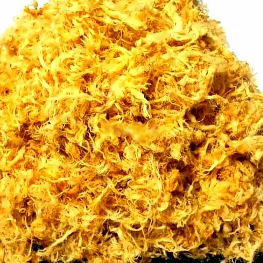 cha-bong-heo-ac-biet