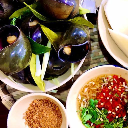 oc-buu-luoc-cham-mam-bac